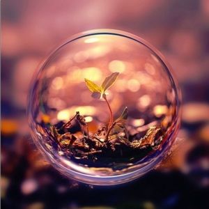 Meet your Posher, Tabitha